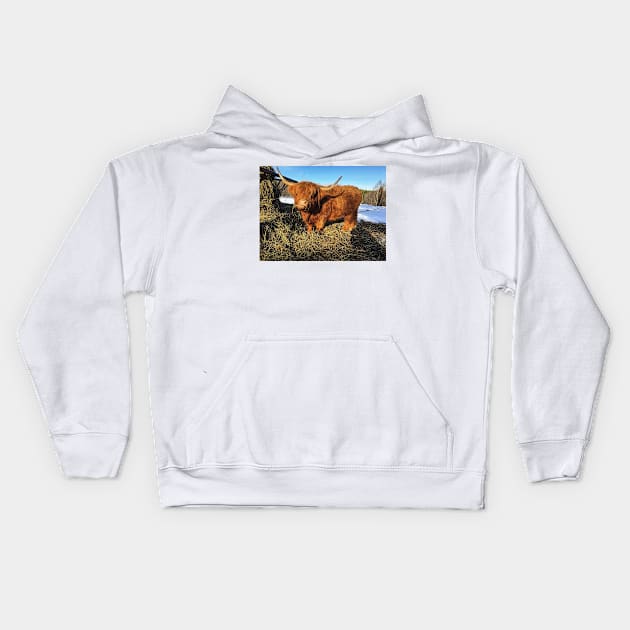 Scottish Highland Cattle Cow 2312 Kids Hoodie by SaarelaHighland